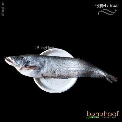 Boyal Fish (Maach) 1KG (Cut and Cleaned)
