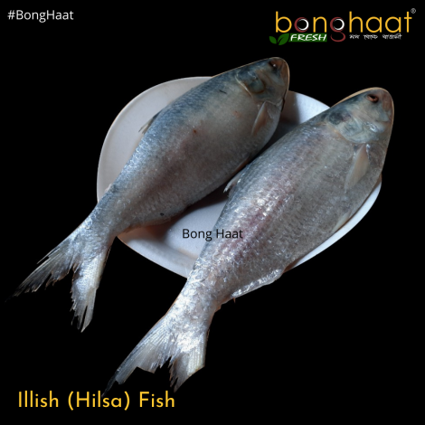 Hilsa Fish ( Ilish Maach) (More than 1KG size) Cut & Cleaned 1.25KG 