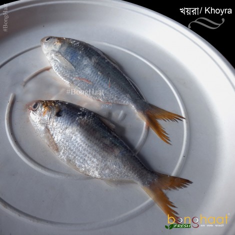  Khoira Fish (Maach) 1KG (Cleaned)