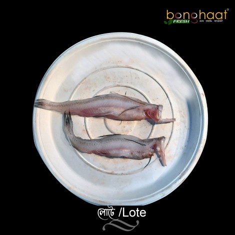 Loite Fish (Maach) 1KG