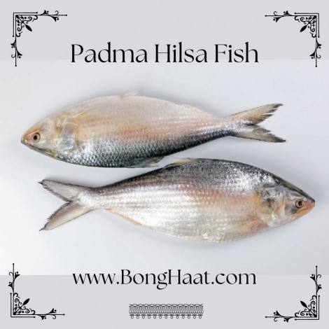 Padma Hilsa Fish (Paddar Ilish Maach) 1300G