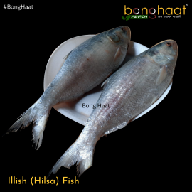 Hilsa Fish ( Ilish Maach) (More than 1KG size) Cut & Cleaned 1.25KG 