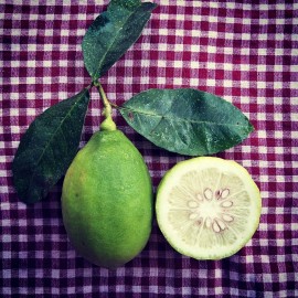 Gandhoraj Lebu (Lime) 10 Pcs OR 1 KG 