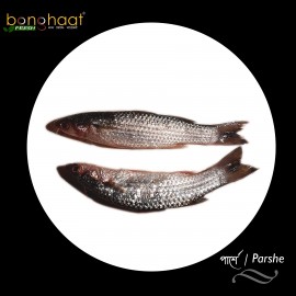 Parshe Fish (Maach) 1KG (Cut and Cleaned)