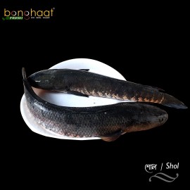 Shol Fish (Maach) 1KG (Cut and Cleaned)