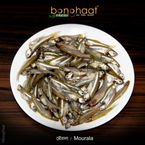 Mourala Fish (Maach) 1KG 
