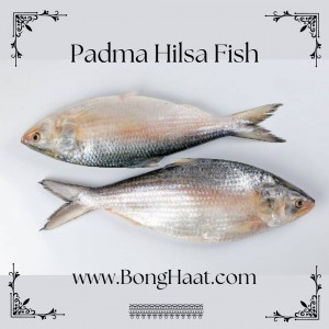 Padma Hilsa Fish (Paddar Ilish Maach) 1500G