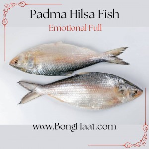 Padma Hilsa Fish (Paddar Ilish Maach) Jumbo Size
