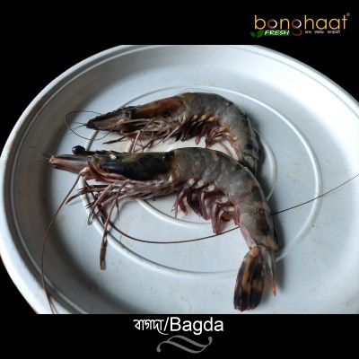 Tiger Prawn (Bagda Chingri) Fish 1KG